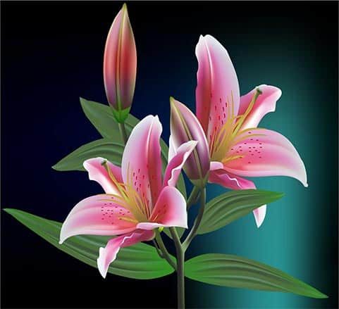 Khóa Học Photoshop