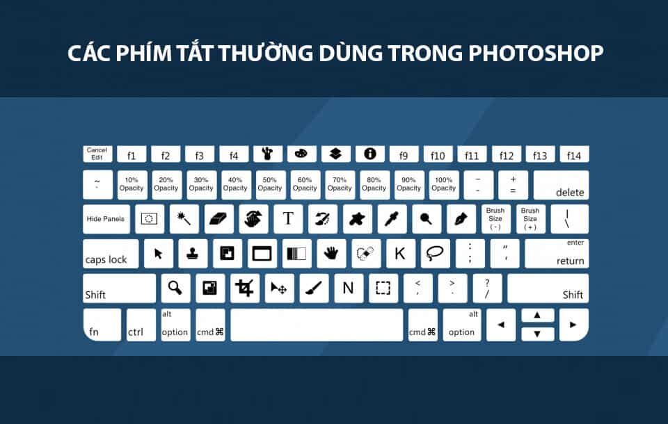 Học pts cs6 cho người mới bắt đầu chi tiết nhất Luôn Thực Hành Sử Dụng Phím Tắt Khi Học Pts Cs6