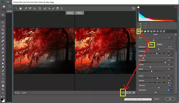 Hướng Dẫn Sử Dụng Camera Raw Trong Photoshop