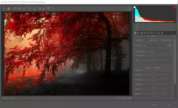 Hướng Dẫn Sử Dụng Camera Raw Trong Photoshop
