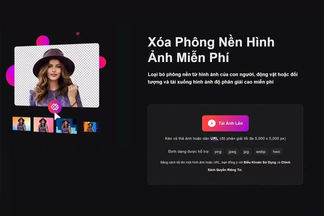 Hướng dẫn sử dụng Pen Tool Photoshop